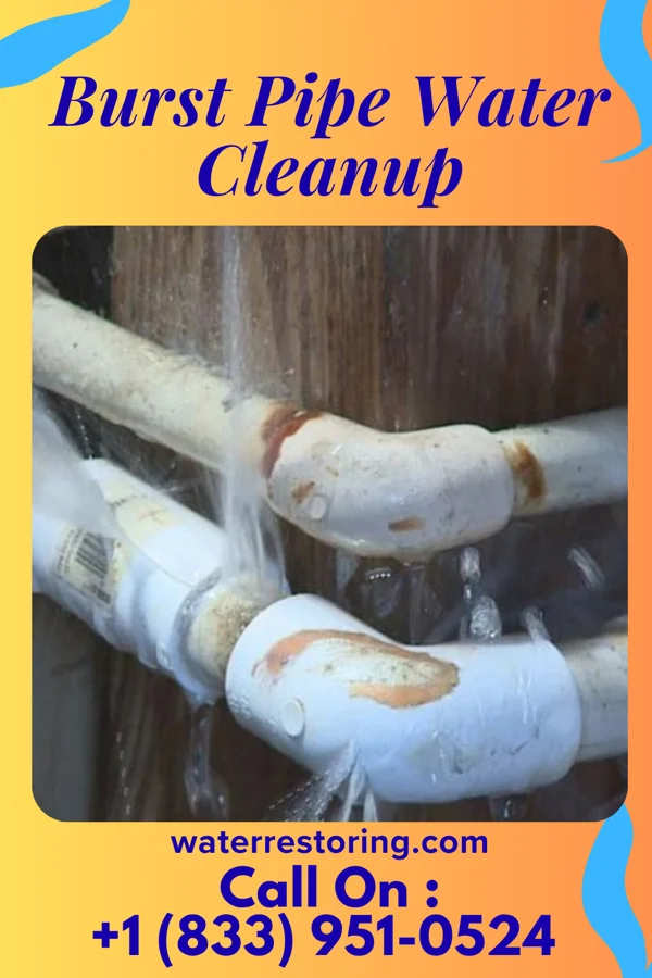 Burst Pipe Water Cleanup in Burnsville, WV