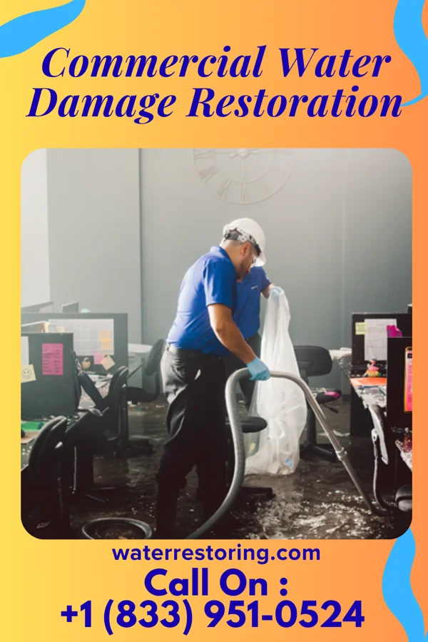 Commercial Water Damage Restoration in Burnsville, WV