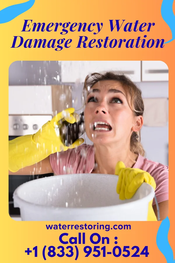 Emergency Water Damage Restoration in Burnsville, WV
