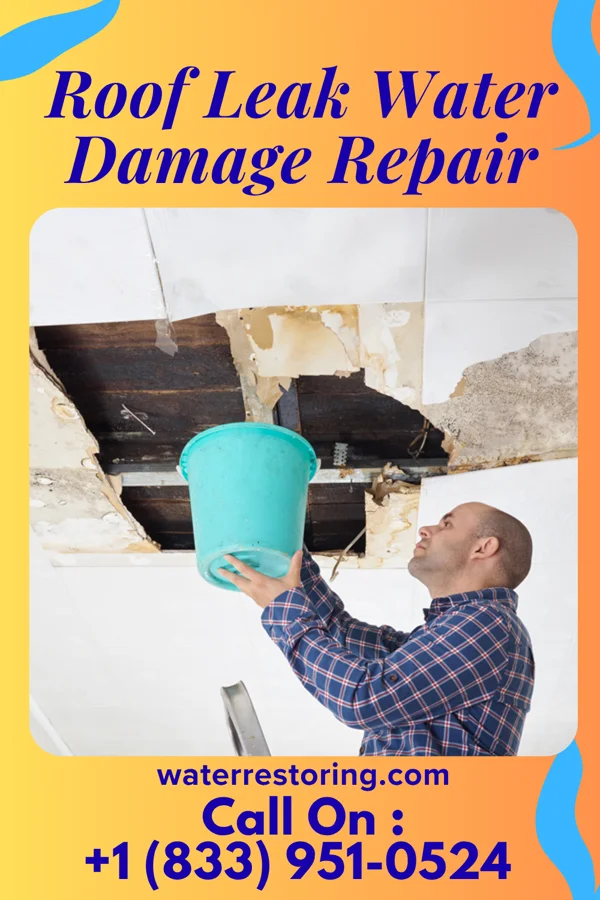 Roof Leak Water Damage Repair in Burnsville, WV
