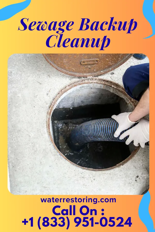 Sewage Backup Cleanup in Burnsville, WV