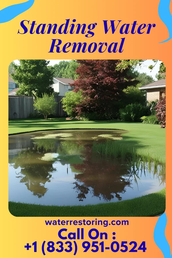 Standing Water Removal in Burnsville, WV